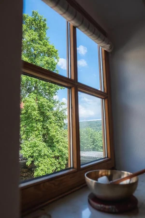 Gehobenes Ambiente In Historischer Wohnung Walting